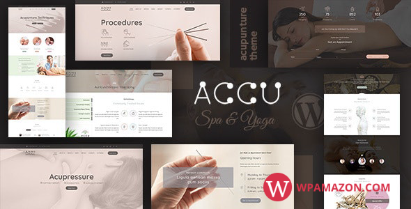 Accu v3.0 – Healthcare, Massage WordPress Theme