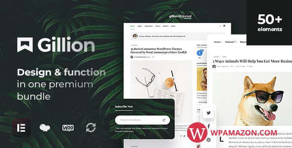 Gillion v4.3.2 – Multi-Concept Blog/Magazine & Shop WordPress Theme