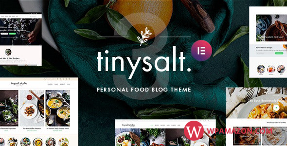 TinySalt v3.0.0 – Personal Food Blog WordPress Theme