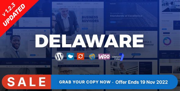Delaware v1.2.3 – Consulting and Finance WordPress Theme