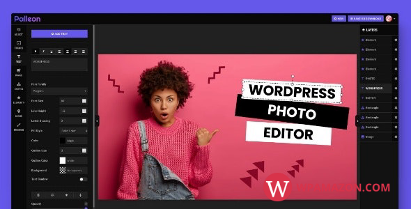 Palleon v2.2 – WordPress Image Editor