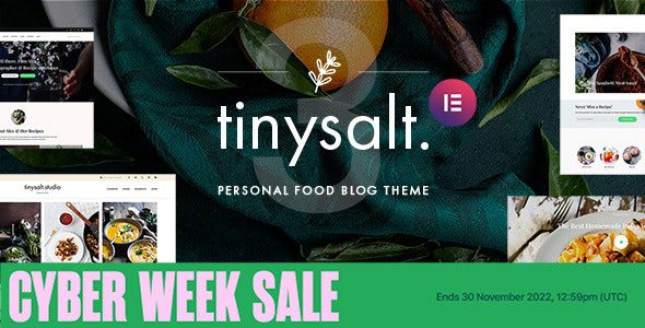 TinySalt v3.2.0 – Personal Food Blog WordPress Theme