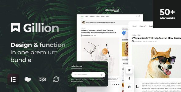 Gillion v4.4 – Multi-Concept Blog/Magazine & Shop WordPress Theme